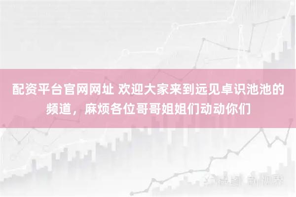 配资平台官网网址 欢迎大家来到远见卓识池池的频道，麻烦各位哥哥姐姐们动动你们